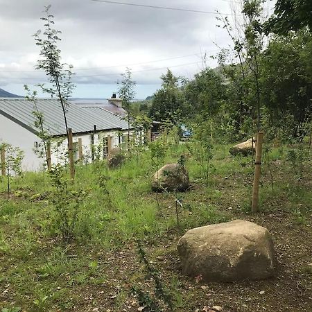 An Bothan-Cosy Cottage In The Cooley Mountains Dundalk Eksteriør bilde