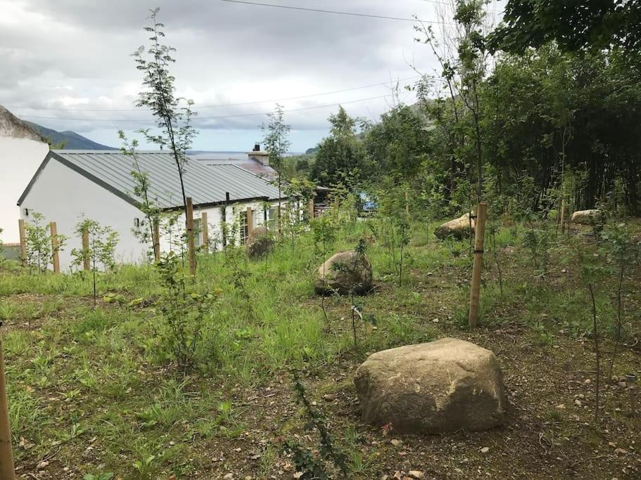 An Bothan-Cosy Cottage In The Cooley Mountains Dundalk Eksteriør bilde