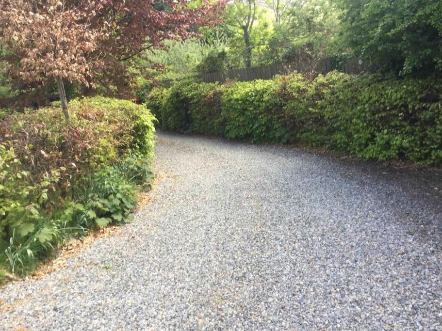 An Bothan-Cosy Cottage In The Cooley Mountains Dundalk Eksteriør bilde