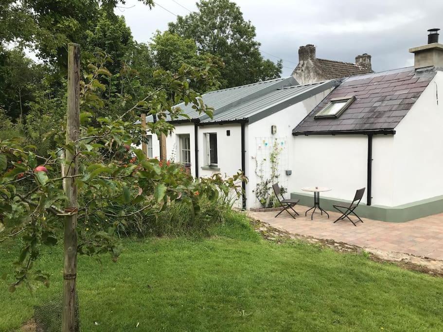 An Bothan-Cosy Cottage In The Cooley Mountains Dundalk Eksteriør bilde