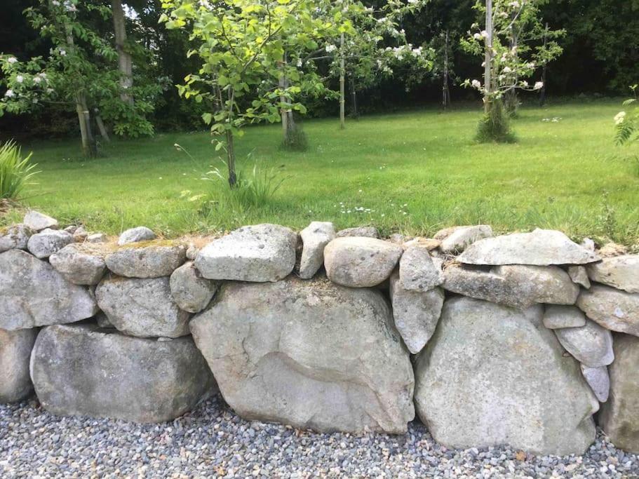 An Bothan-Cosy Cottage In The Cooley Mountains Dundalk Eksteriør bilde