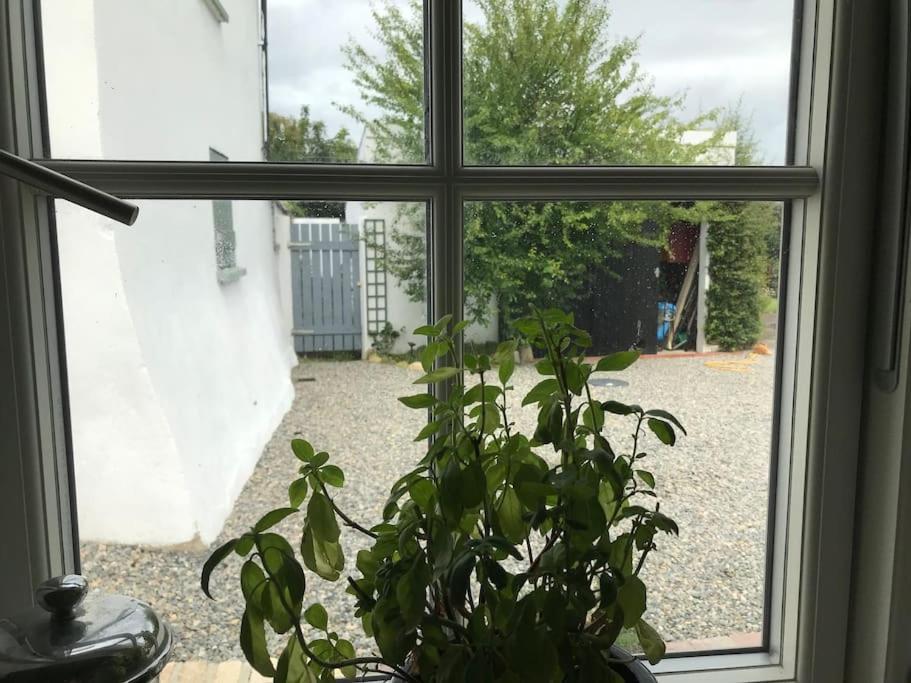 An Bothan-Cosy Cottage In The Cooley Mountains Dundalk Eksteriør bilde
