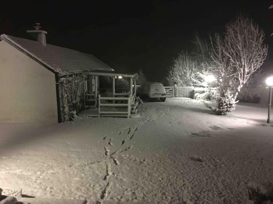 An Bothan-Cosy Cottage In The Cooley Mountains Dundalk Eksteriør bilde
