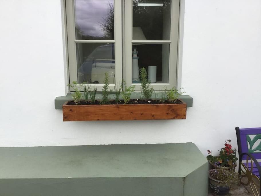 An Bothan-Cosy Cottage In The Cooley Mountains Dundalk Eksteriør bilde